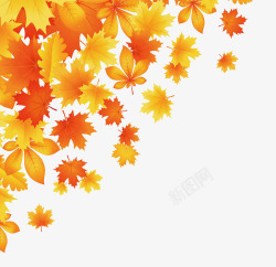 树叶秋天唯美黄色素材