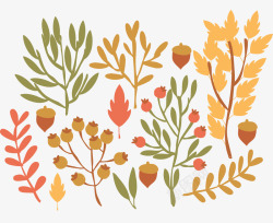 秋天的石榴果实秋天的花草矢量图高清图片