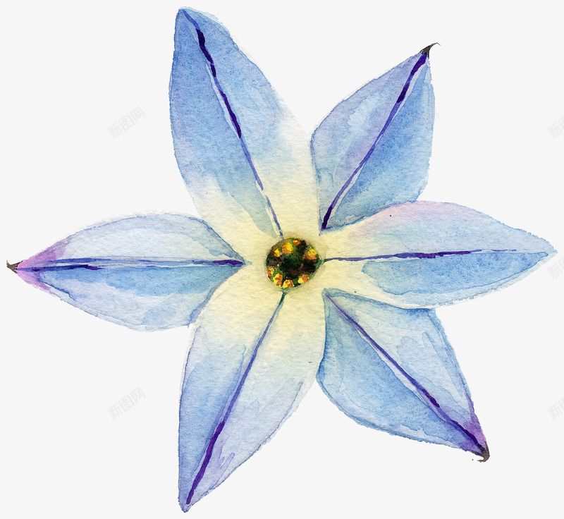 花png免抠素材_新图网 https://ixintu.com PNG 仿真 叶子 小清新 手绘 文艺 树叶 树枝 水彩 素材 花 花朵 鲜花