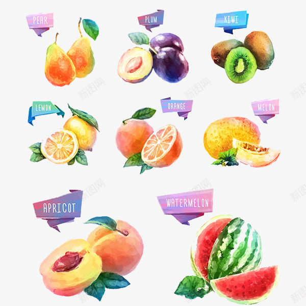 缤纷水果图标png_新图网 https://ixintu.com 可爱有趣 夏季水果 宣传 水果小图标 系列 超市 超市传单