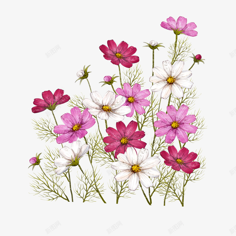 草地上的野花png免抠素材_新图网 https://ixintu.com 枝叶 树枝 粉色 红色 花朵