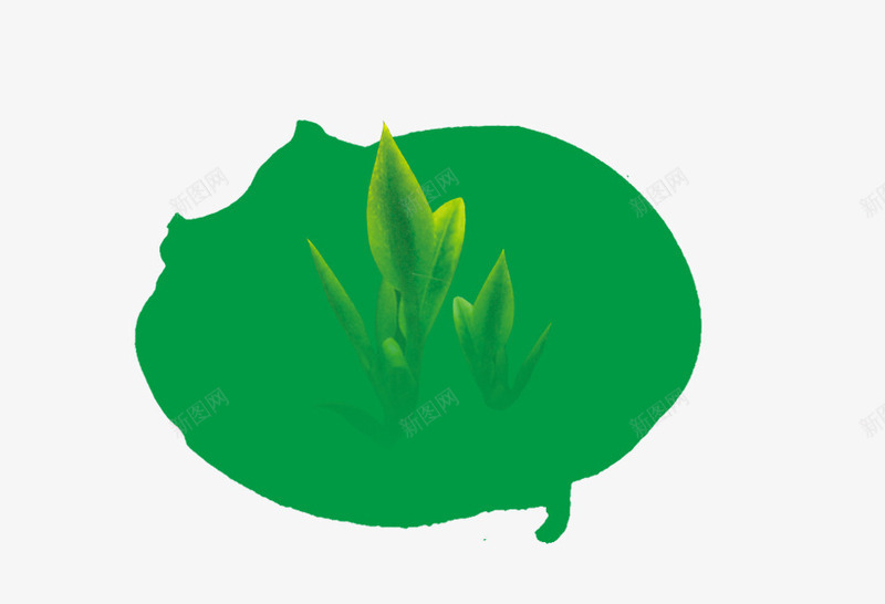 手绘绿色茶叶图案png免抠素材_新图网 https://ixintu.com 图案 手绘 绿色 茶叶