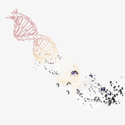 基因组合粉色基因排列矢量图高清图片