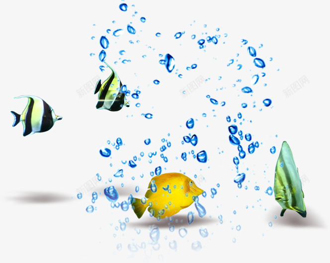 夏季热带鱼水花广告png免抠素材_新图网 https://ixintu.com 夏季 广告 水花 热带鱼 设计