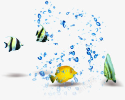 热带鱼水花夏季热带鱼水花广告高清图片