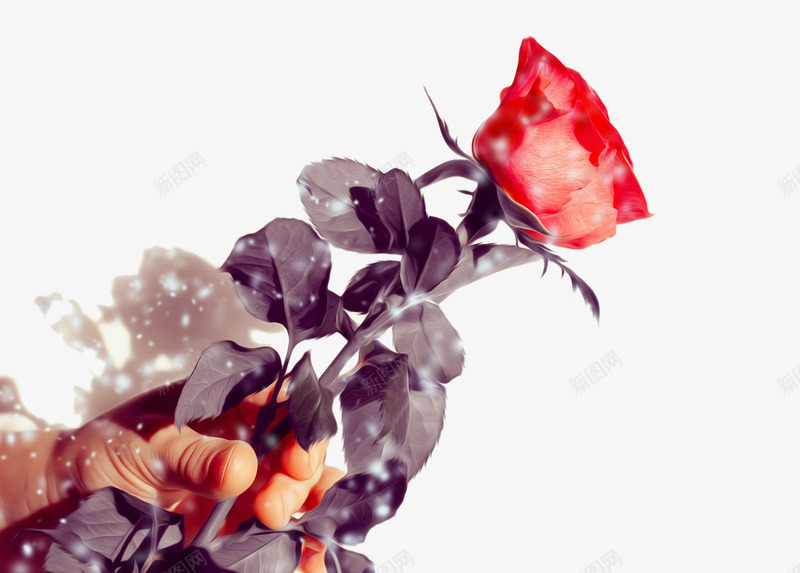 手拿着玫瑰png免抠素材_新图网 https://ixintu.com 手势 手绘玫瑰花 红色 鲜花植物