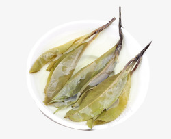 黄绿色茶叶泡开的大叶苦丁高清图片