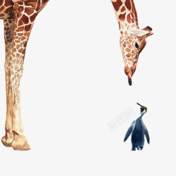 长颈鹿企鹅趣味组合片素材