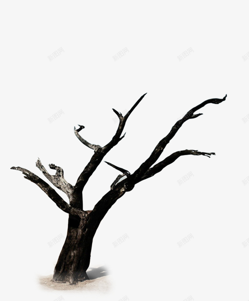 黑色干枯的树png免抠素材_新图网 https://ixintu.com 冬季 干枯的树枝 树枝 黑色