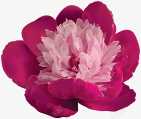 紫色分层花朵手绘png免抠素材_新图网 https://ixintu.com 分层 紫色 花朵 设计