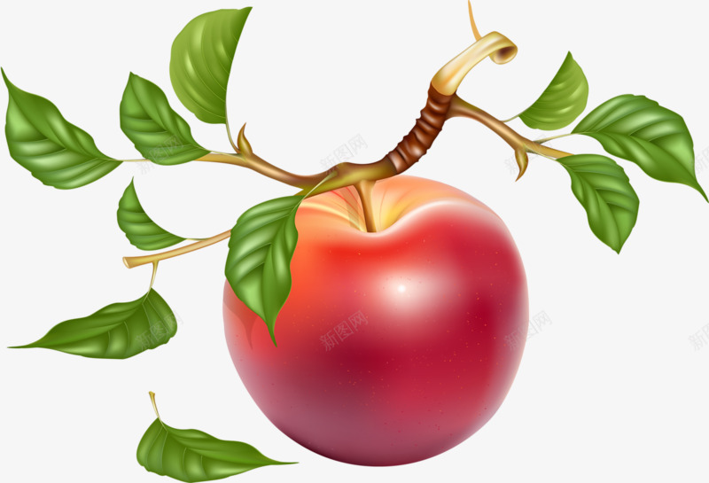 红色苹果png免抠素材_新图网 https://ixintu.com 树枝 水果 红色 苹果