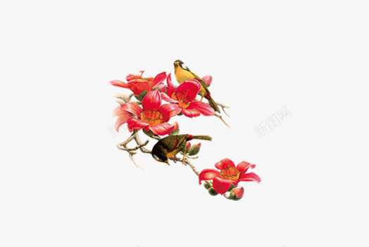 小鸟站在花枝上png免抠素材_新图网 https://ixintu.com 一只 中国风 小鸟 站在花枝上 红色