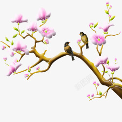 鸟在枝头素材