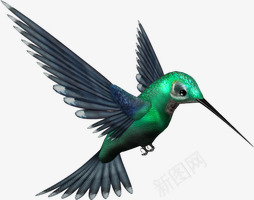 创意合成手绘小鸟造型png免抠素材_新图网 https://ixintu.com 创意 合成 小鸟 造型