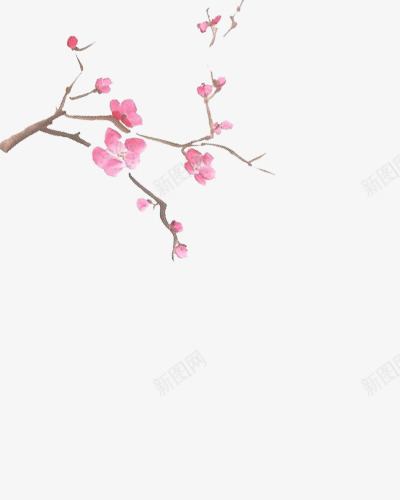 树枝上的粉色花朵中国画png免抠素材_新图网 https://ixintu.com 中国画 树枝 粉色 花朵