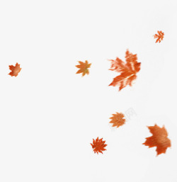 棕色漂浮秋季枫叶素材