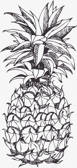 夏季水果手绘菠萝素材