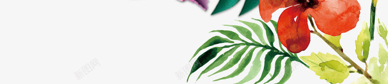 夏季植物油画手绘边框png免抠素材_新图网 https://ixintu.com 夏季 夏日 植物边框 油画手绘边框 清新