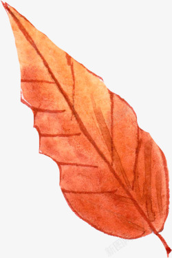 秋季水彩画红色手绘叶子高清图片