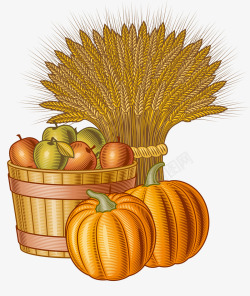 成熟的季节立秋金色季节秋天丰收时节农作物高清图片