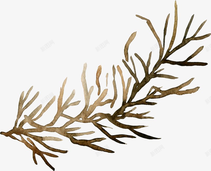 水彩植物png免抠素材_新图网 https://ixintu.com 树枝 植物 矢量植物 装饰图 装饰画