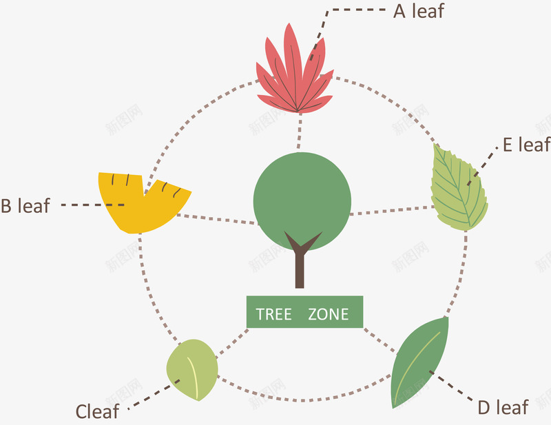 树叶类型说明图矢量图ai免抠素材_新图网 https://ixintu.com 信息表 流程图 结构组合 矢量图