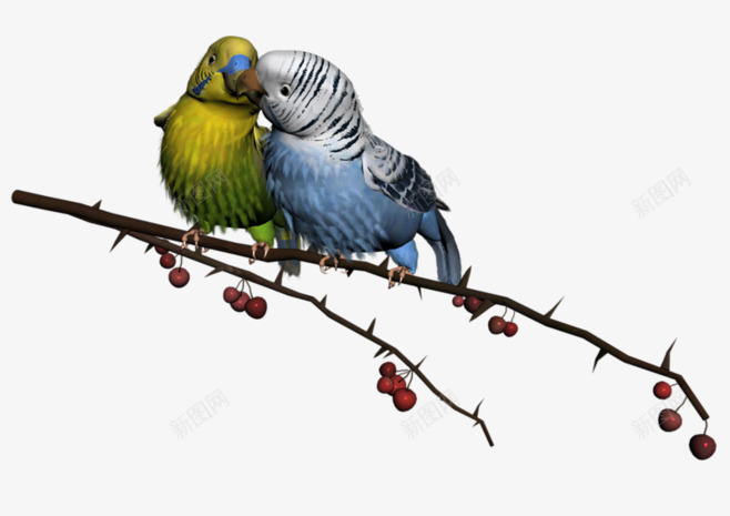 树枝上的彩色鹦鹉手绘png免抠素材_新图网 https://ixintu.com 彩色 树枝 鹦鹉