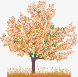 枫叶树图案素材