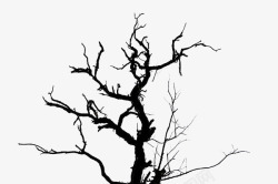 粗壮枝干粗质感缠绕的树枝图标高清图片