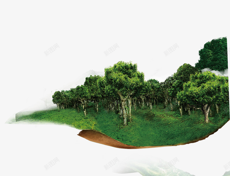 绿色茶林png免抠素材_新图网 https://ixintu.com 叶子 树木 植物 绿色 茶叶