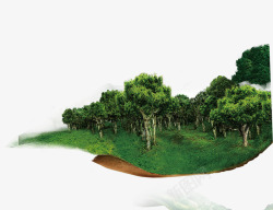 绿色茶林素材