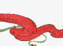 手绘红色复古丝带装饰png免抠素材_新图网 https://ixintu.com 丝带 复古 红色 装饰