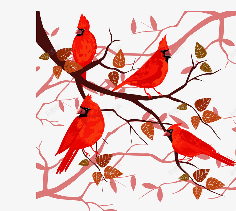 树枝上的小鸟png免抠素材_新图网 https://ixintu.com 动物 小鸟 尾巴 树叶 树干 树枝 植物