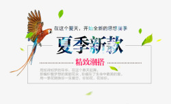 潮搭新视界排版夏季新款高清图片