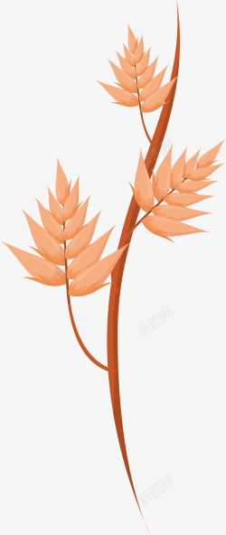 卡通立秋金色植物树叶插画矢量图素材