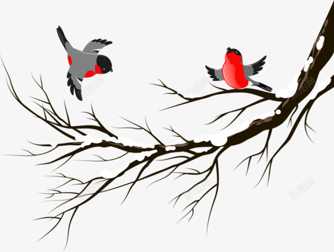 树上的鸟png免抠素材_新图网 https://ixintu.com 树上的鸟儿 树枝 鸟