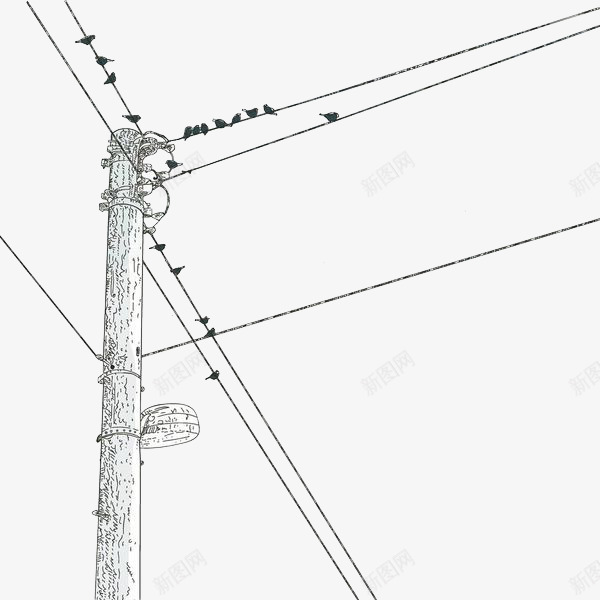 手绘黑色线条电线杆png免抠素材_新图网 https://ixintu.com 卡通电线杆 小鸟 手绘线条 电线 电线杆 电路设施 黑色