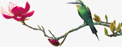 绿树红花小鸟装饰素材