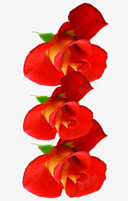 红色鲜花分层花朵素材