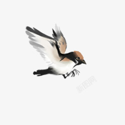 中国水墨画飞翔的小鸟图素材