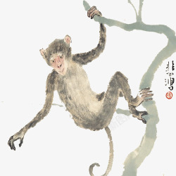 灰色猴子猴子爬树高清图片