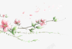 手绘水彩桃花树枝装饰图案素材