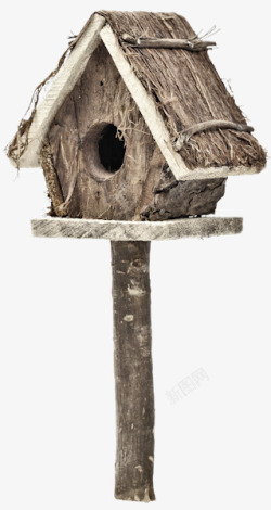 小鸟的房子素材