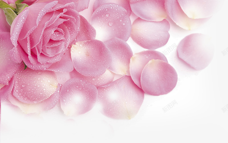 粉色唯美分层花朵png免抠素材_新图网 https://ixintu.com 分层 粉色 花朵