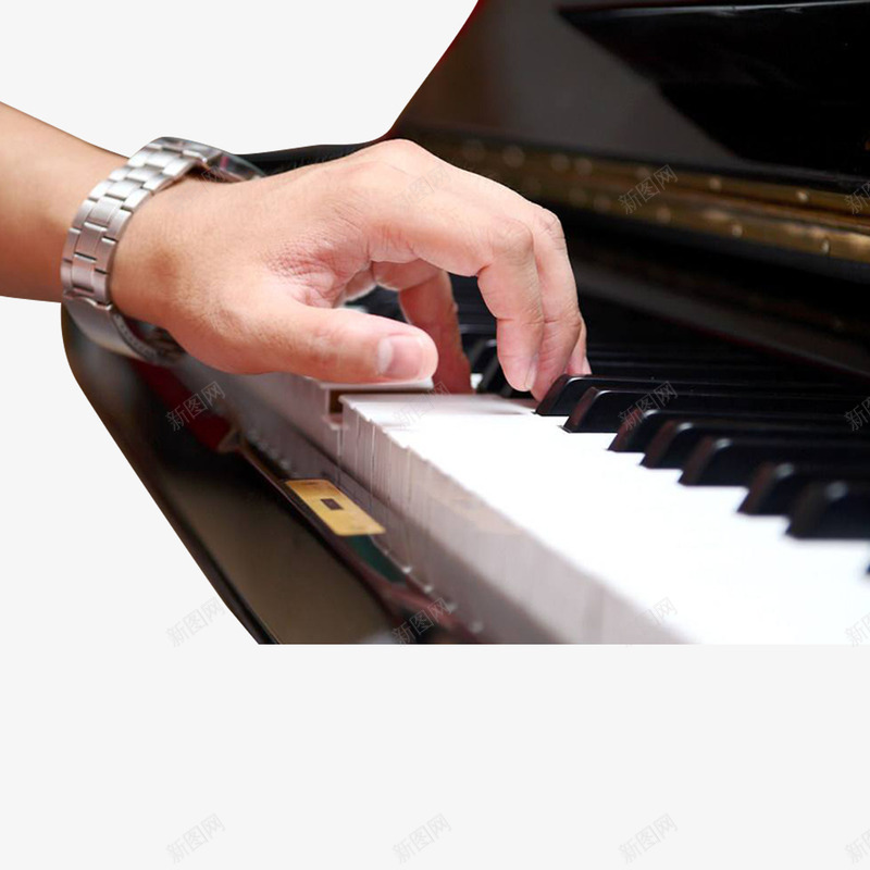 弹钢琴的男人的手png免抠素材_新图网 https://ixintu.com 弹奏 弹钢琴 弹钢琴的手 手 手势 手指 手表 琴键 男人 钢琴