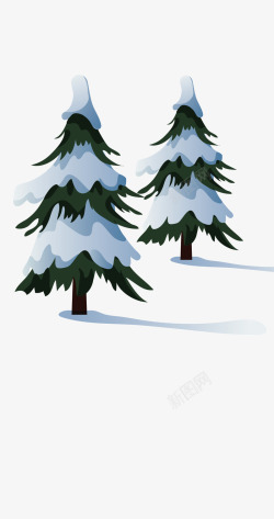 结冰的树木枝松柏树木高清图片