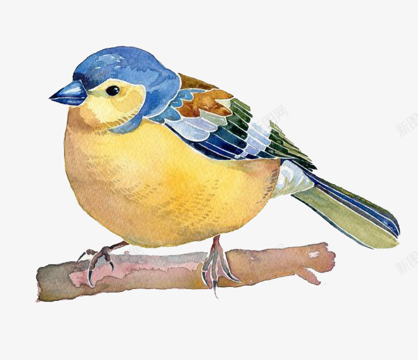 卡通手绘鸟png免抠素材_新图网 https://ixintu.com 卡通 小鸟 彩色 手绘 水彩 蓝色 黄色