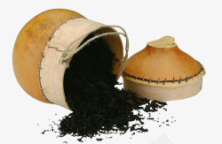茶娄新鲜黑色茶叶高清图片