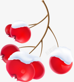 果子树枝手绘红色挂雪的果子矢量图高清图片