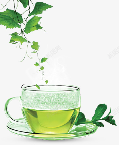 绿叶和绿茶png免抠素材_新图网 https://ixintu.com 玻璃杯 绿茶 茶 茶叶 茶杯 茶水 藤蔓 透明杯